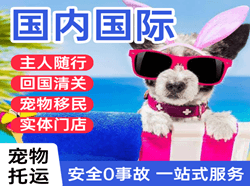 花果山空运地址国际宠物托运 【国